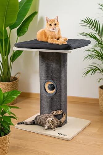 KRAUS MAGAZIN Kratzbaum klein Grau | Sisal Kratzbaum Katze [interaktiv] | Katzenliege aus Leinen | Katzenbaum Grosse Katzen | Stabil & Modern aus Natur-Holz | Kratzsäule | Kratzstamm  Amazon.de: Haustier