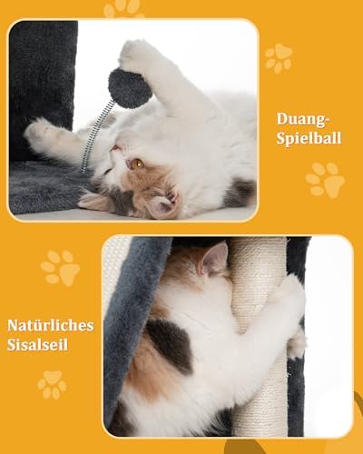 Aechonow Kratzbaum für Große Katzen Stabil, Katzenbaum mit Groß Liegefläche(51x41cm), 2 Tier Katzenhöhle Tonne Bett für Indoor Adulte Katzen, Dunkel Grau Amazon.de: Haustier – Bild 5