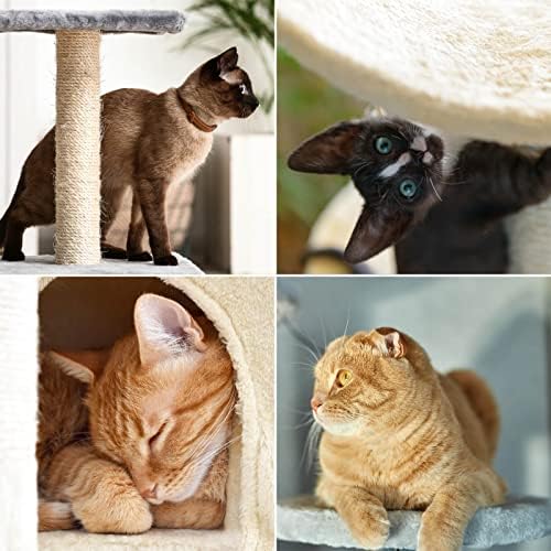 Fudajo Kratzbaum in Hellgrau 60 cm mit Katzenhaus, Katzenkratzbaum mit Plattform und Liege, Katzenbaum mit Spielball und Leiter, Katzenmöbel mit Sisal Amazon.de: Haustier – Bild 2