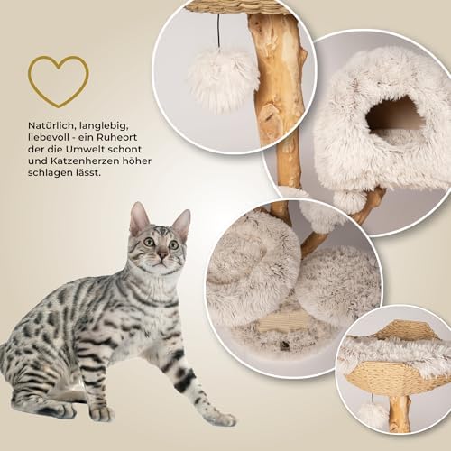 Catclusive® Kratzbaum „Cozy Chalêt“ – 128 cm Design-Katzenbaum aus Echtholz, handgefertigter Kletterbaum mit Sisal, Stabiler Premium-Kratzbaum, Unikat für große Katzen, ideal für Wohnung & Haus beige Amazon.de: Haustier – Bild 4