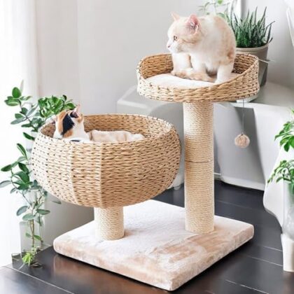 Kratzbaum Banana Leaf Mit Natur-Sisal – 55 cm Katzenturm Mit 8 cm Dicker Sisalsäule, Inkl. Weichem Wollkissen – Insekten- und schimmelresistent, robust & pflegeleicht  Amazon.de: Haustier